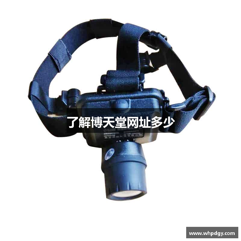 了解博天堂网址多少